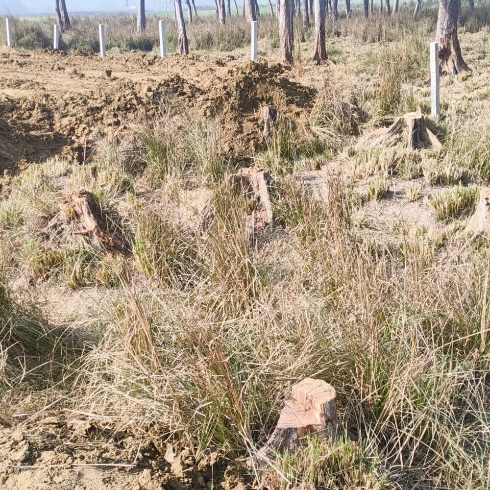 पशुचर भूमि पर कब्जे का आरोप, ग्रामीणों का प्रदर्शन:सिद्धार्थनगर कलेक्ट्रेट पहुंचकर डीएम को सौंपा ज्ञापन, अतिक्रमण हटाने की मांग