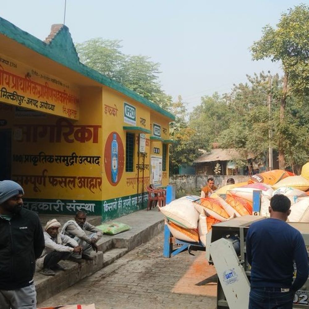 अयोध्या में 96.22 प्रतिशत धान खरीद पूरी:14 हजार से ज्यादा किसानों से 65,431 मीट्रिक टन धान खरीदा गया