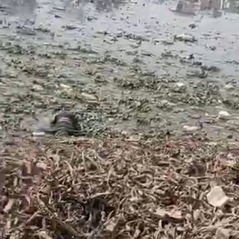 ग्रेटर नोएडा में 5 साल के बच्चे का शव मिला:6 दिन से लापता था, जेसीबी की मदद से तालाब से निकाला गया शव