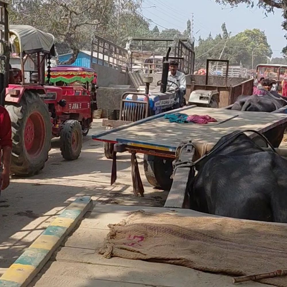 मंडी में सड़क से लेकर अंदर तक जाम:किसान 2 घंटे तक फंसे, आलू की आवक से बढ़ी समस्या