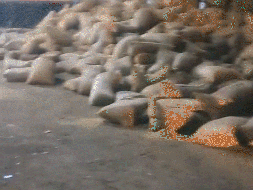 रायपुर में धान से लदा ट्रक कार पर पलटा,3 मौतें:सर्जरी के बाद लौट रहे थे पति-पत्नी, बेटे ने पुणे से कैब बुक की थी