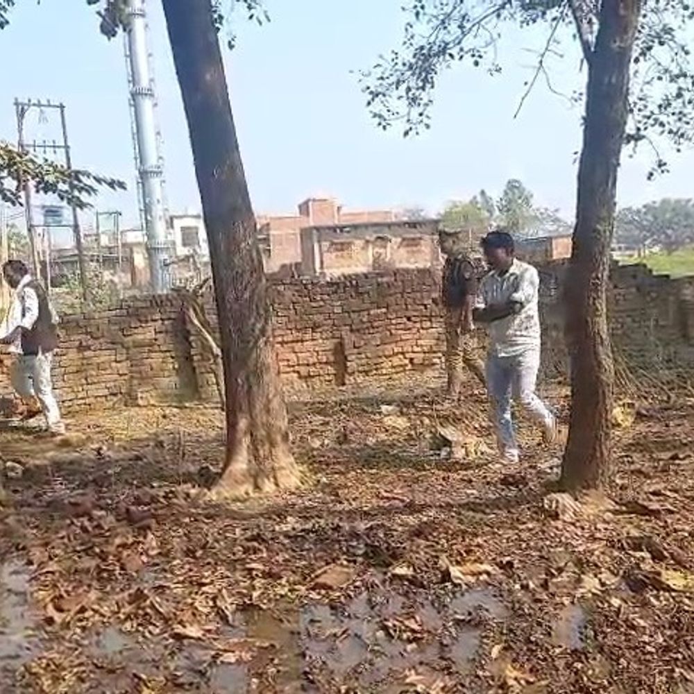 आजमगढ़ में कुत्तों के काटने से 50 भेड़ों की मौत:रात में किया था हमला,सूचना मिलने के बाद पुलिस कर रही छानबीन