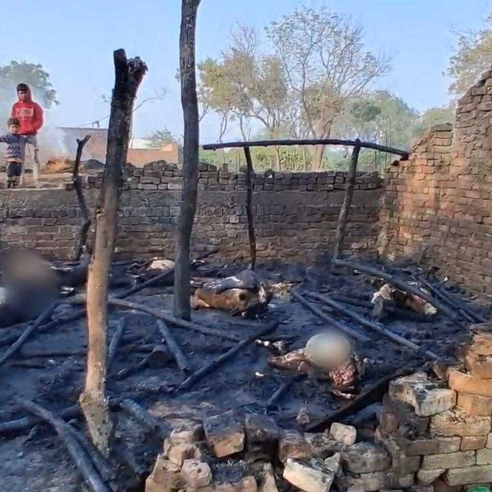 मैनपुरी में झोपड़ी में आग लगने से मवेशी जिंदा जले:युवक झुलसा, ग्रामीणों ने आग पर पाया काबू