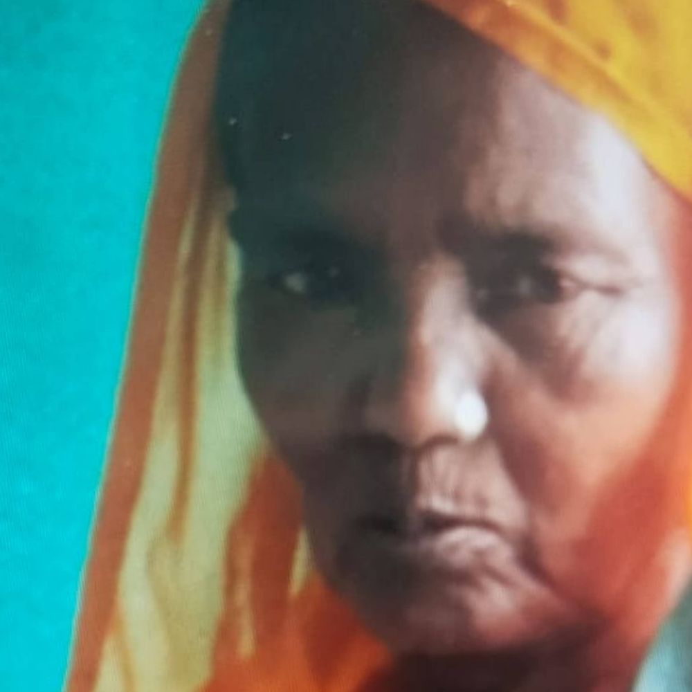 हरदोई में ऑटो पलटने से महिला की मौत:पिहानी-अय्यारी मार्ग पर हुआ हादसा, पुलिस जांच जारी