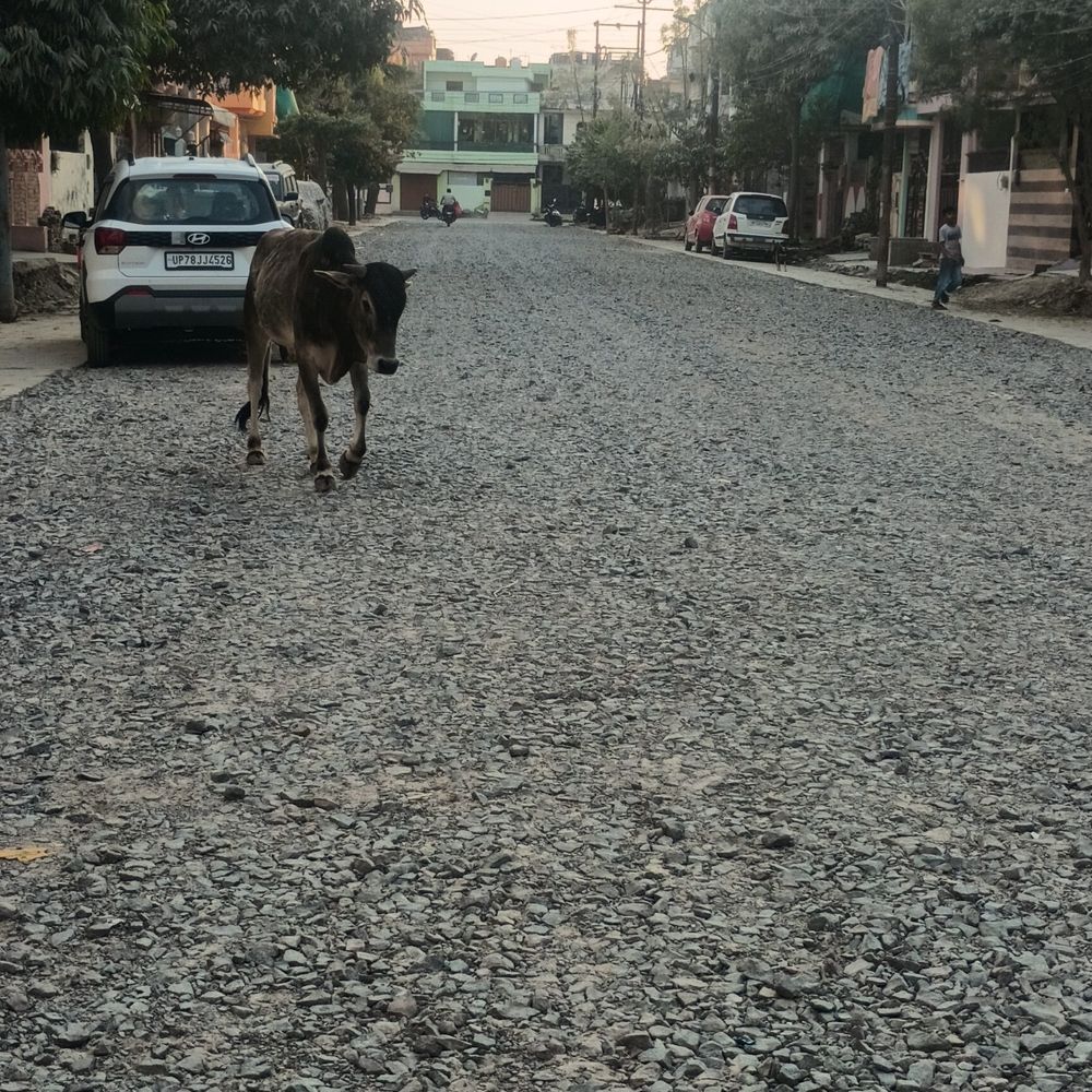 शिलान्यास के 5 महीने बाद भी नहीं बनी सड़क:आए दिन हो रहे एक्सिडेंट, 60 लाख रुपए का प्रोजेक्ट राम भरोसे