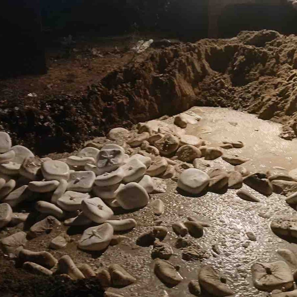 गाजियाबाद में मिलावट पर बड़ी कार्रवाई:2400 किलो से अधिक मिलावटी पनीर और खोया नष्ट किया गया