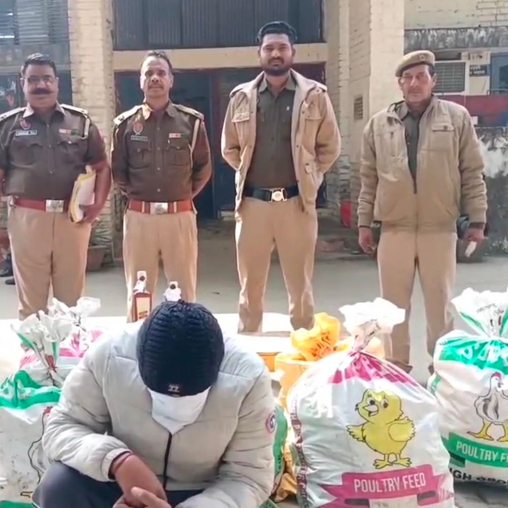 पठानकोट में पुलिस ने नशा को किया गिरफ्तार:  28 पेटी अवैध शराब बरामद, पोल्ट्री फार्म की आड़ में किया था भंडारण – Pathankot News