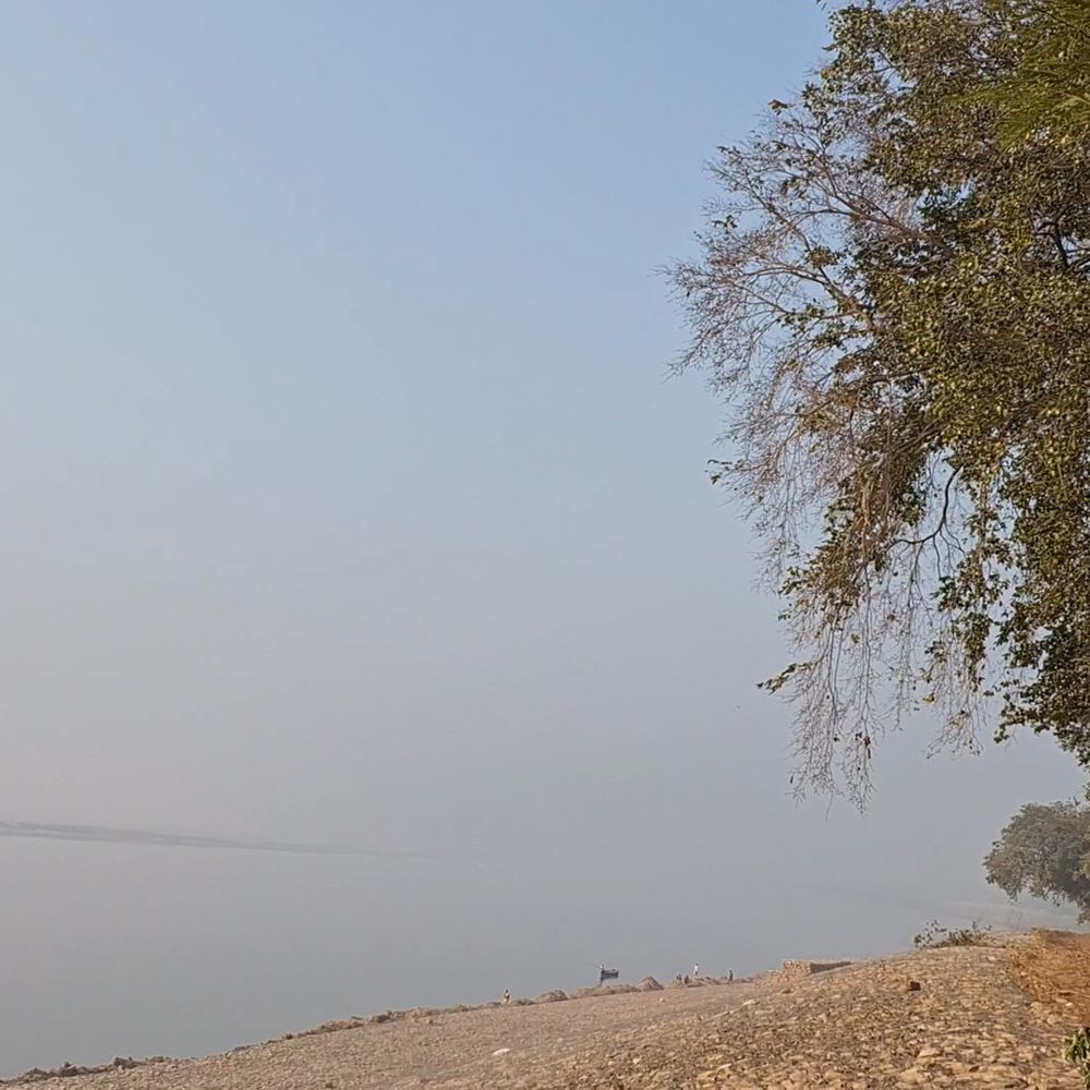 गाजीपुर में धूप खिली, ठंड से राहत:आज तापमान 31 डिग्री सेल्सियस तक पहुंचने का अनुमान