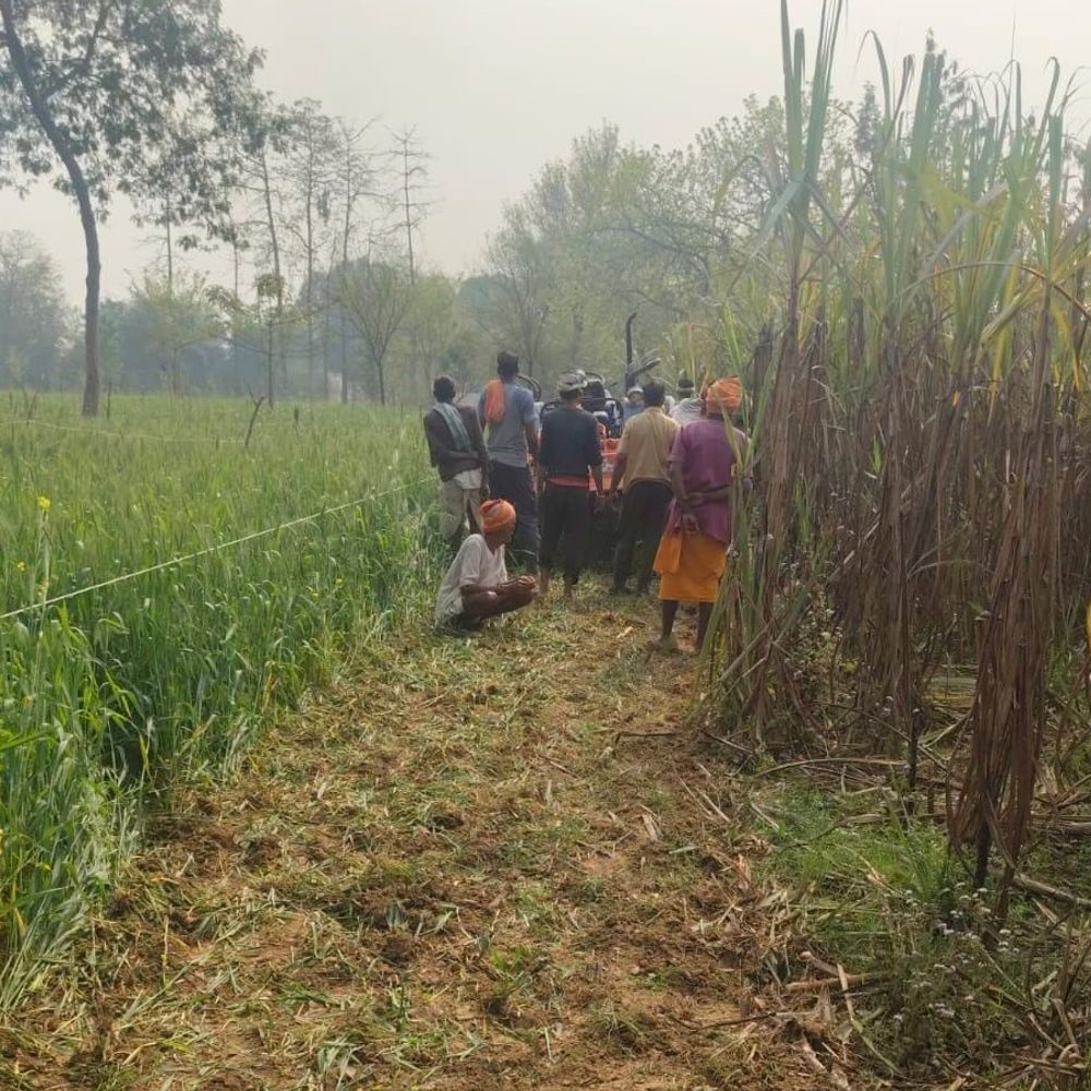 सरकारी चकमार्ग से हटाया गया अवैध कब्जा:उपजिलाधिकारी के निर्देश पर बोई गई फसल हटाकर रास्ता खोला गया