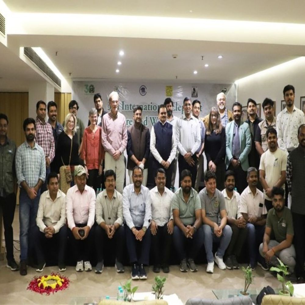 इंटरनेशनल Elephant Health वर्क शॉप:मथुरा में वाइल्डलाइफ एसओएस ने कर रहा आयोजन, 24 से ज्यादा पशु चिकित्सक मौजूद