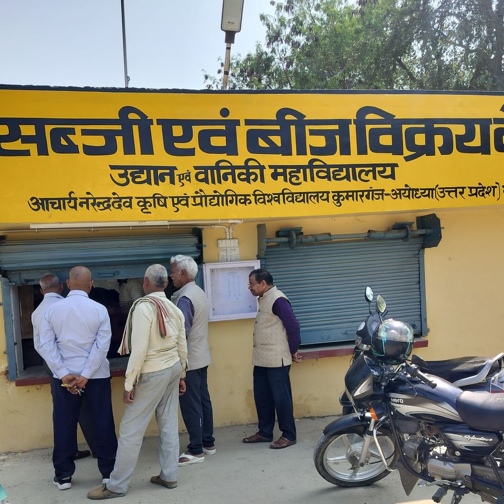 विश्वविद्यालय में बसंतकालीन सब्जियों के उन्नत बीजों की बिक्री शुरू:पूर्वांचल से अयोध्या पहुंच रहे किसान, हजारों किसानों ने खरीदा बीज