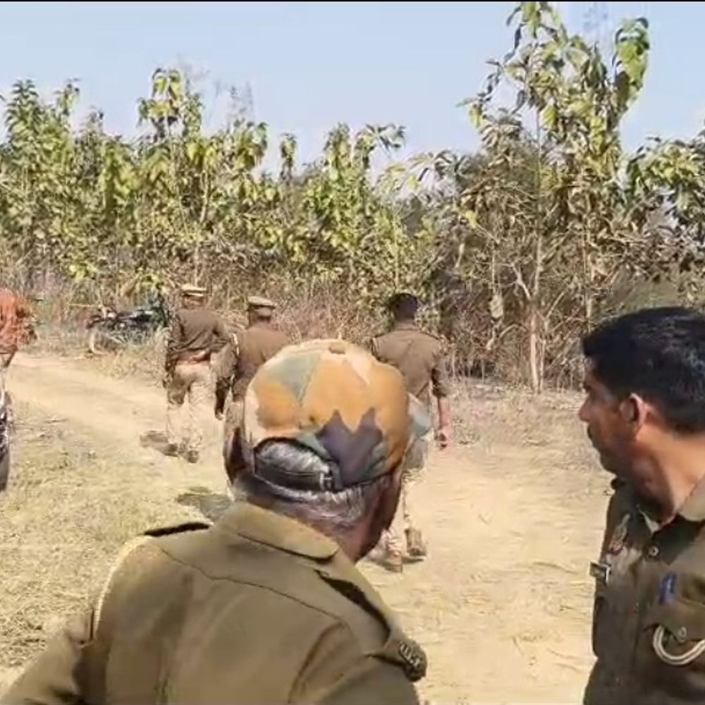 बिजनौर में मिला हाथी का सड़ा शव:सप्ताह भर पहले मौत की आशंका; पोस्टमार्टम रिपोर्ट में पता चाहेगी वजह