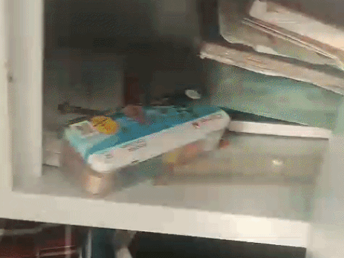 पंचकूला में ठेकेदार के घर 4.40 लाख कैश-जेवर चोरी:  ताला लगा अस्पताल गई थी पत्नी; बच्चों के गुल्लक भी नहीं छोड़े – Panchkula News