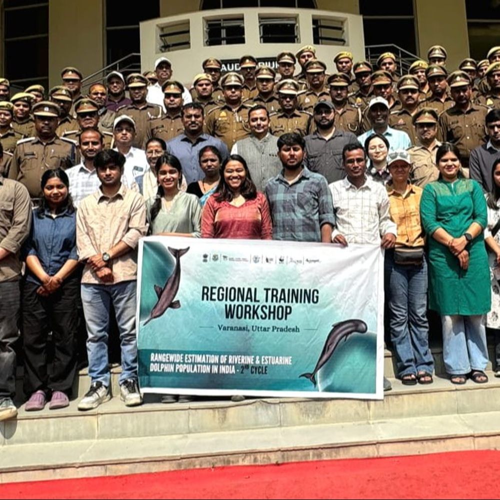 गंगा में डाल्फिन की गणना के लिए चलेगा अभियान:वाराणसी में इसके लिए एक्सपर्ट ने दिए प्रशिक्षण, नमो घाट पर गंगा तट पर भी पहुंची थी टीम