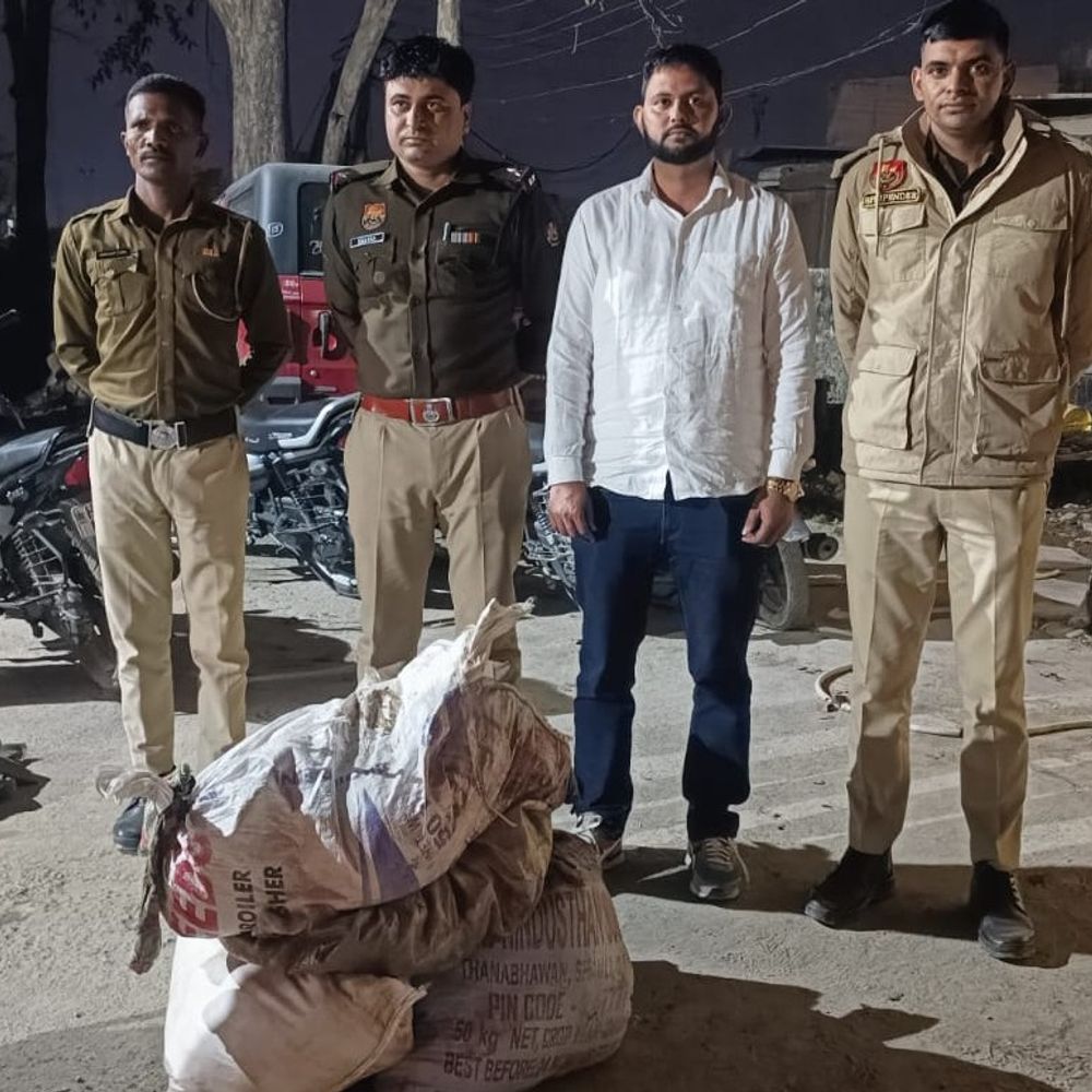 यमुनानगर में गोकशी के शक में तीन युवक गिरफ्तार:  जंगल से डेढ़ क्विंटल मांस बरामद, हथियार भी बरामद – Yamunanagar News