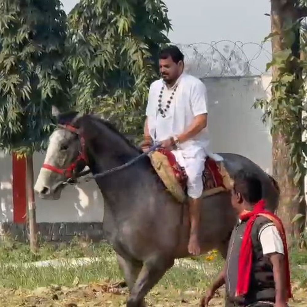 डेढ़ करोड़ के घोड़े पर बृजभूषण ने की घुड़सवारी:घर के परिसर में नजर आए, पंजाब से गिफ्ट में मिला था विदेशी नस्ल का घोड़ा
