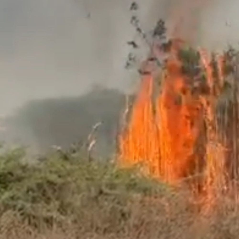 सचेंडी: PSIT कॉलेज के पास जंगल में लगी आग:फायर ब्रिगेड की दो गाड़ियों ने दो घंटे की मशक्कत के बाद बुझाई