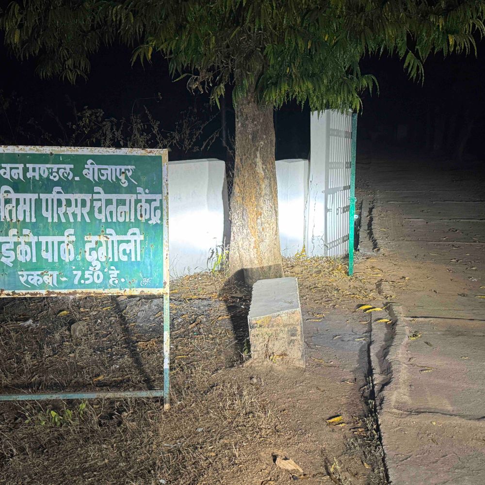 बीजापुर में रात में गिराए जा रहे सागौन के पेड़:  नर्सरी बनाने के लिए वन विभाग पर उठे सवाल,सीसीएफ ने कहा-दौरे में दिया था निर्देश – Bijapur News