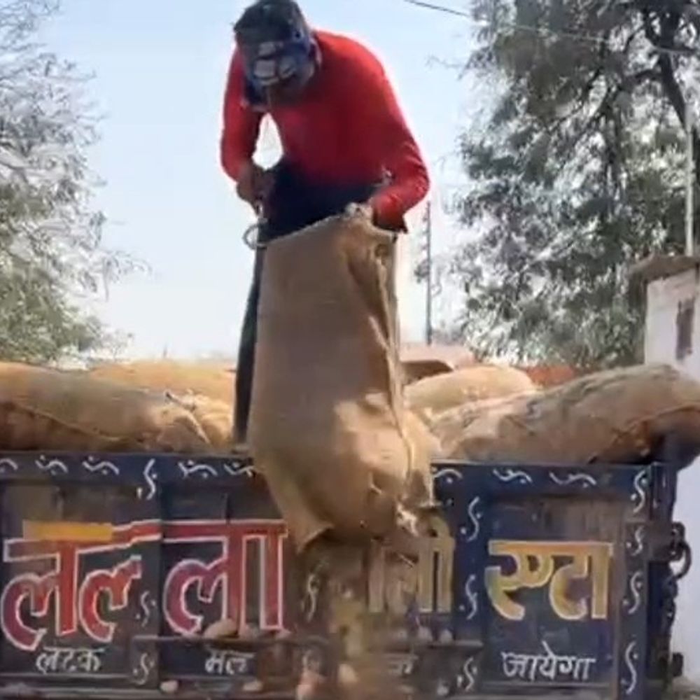 सातनपुर मंडी में आलू की आवक बढ़ी, भाव गिरे:80 रुपये प्रति क्विंटल तक सस्ता हुआ, सड़क पर जाम की स्थिति बनी