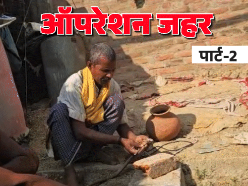 सांप का जहर निकालकर रिपोर्टर के हाथ में रख दिया:1 लीटर की कीमत 33 करोड़, बिहार से फ्रांस तक सप्लाई; 5 जिलों में डील