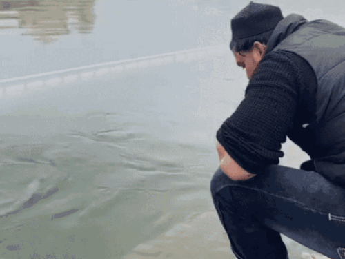 गोल्डन टेंपल सरोवर में कुल्ला, जेल से छूटा युवक:सोशल मीडिया पर पहला VIDEO; बोला- अल्लाह का शुक्र, मैं सही सलामत हूं