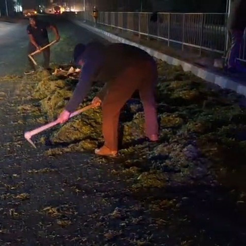 इटावा-बरेली हाईवे पर मटर के छिलकों से फिसलीं बाइकें:तीन लोग घायल, निजी अस्पताल में भर्ती कराया गया