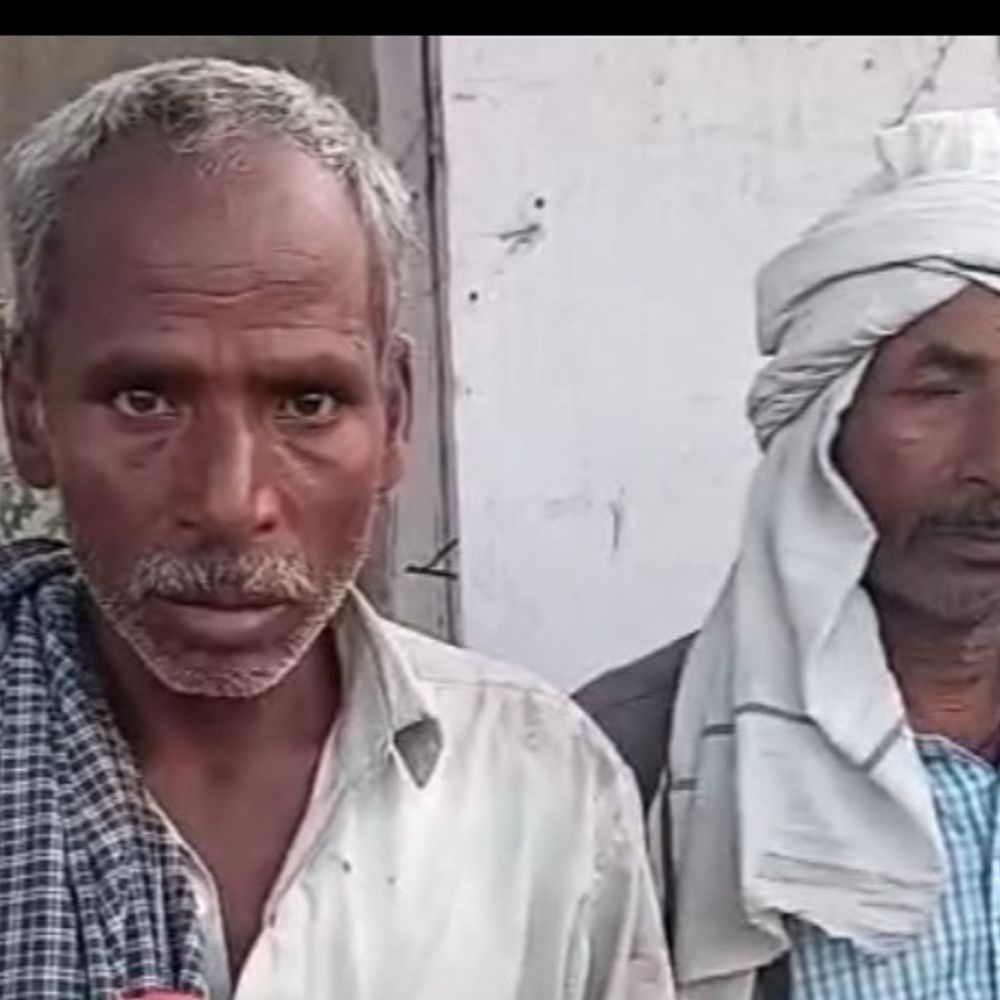 सिकंदरा राऊ में ट्रक ने 24 भेड़ों को कुचला:एटा-अलीगढ़ हाईवे पर हुआ हादसा, 18 घायल