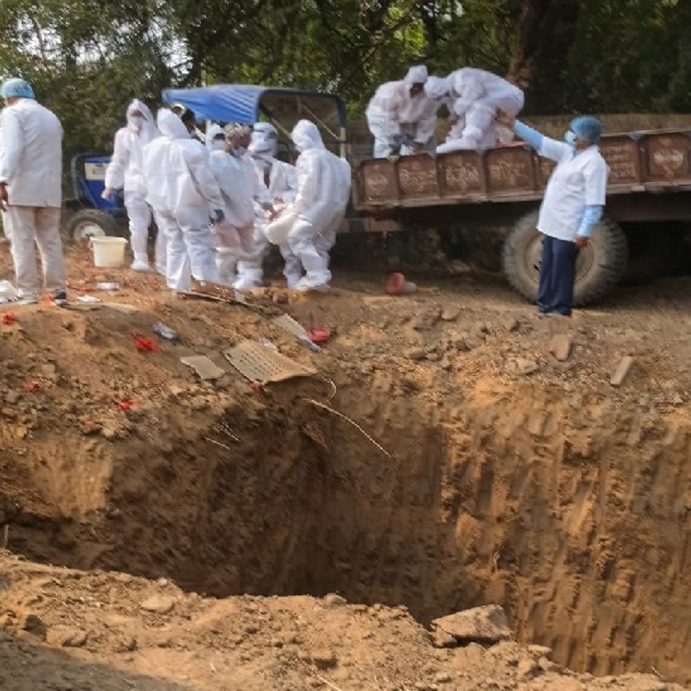 पटना के सरकारी पोल्ट्री फार्म में 6000 मुर्गियों में बर्ड फ्लू