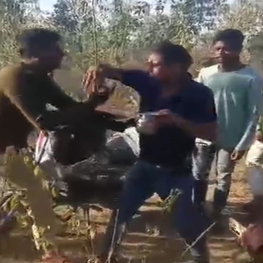 गर्लफ्रेंड के साथ पकड़े गए फारेस्ट गार्ड की पिटाई, VIDEO:  सूरजपुर में गर्लफ्रेंड के सामने युवकों ने पकड़ कर पीटा, मोबाइल में गाना चला डांस कराया – Surajpur News