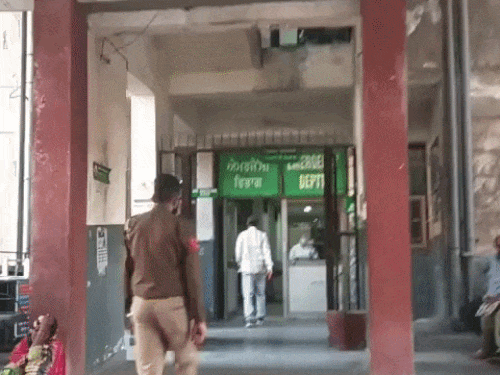 जालंधर में कुत्तों के नोचने से बच्चे की मौत:  माता-पिता के साथ खेत पर गया था, 5 कुत्तों ने हमला किया, इलाज के दौरान दम तोड़ा – Jalandhar News