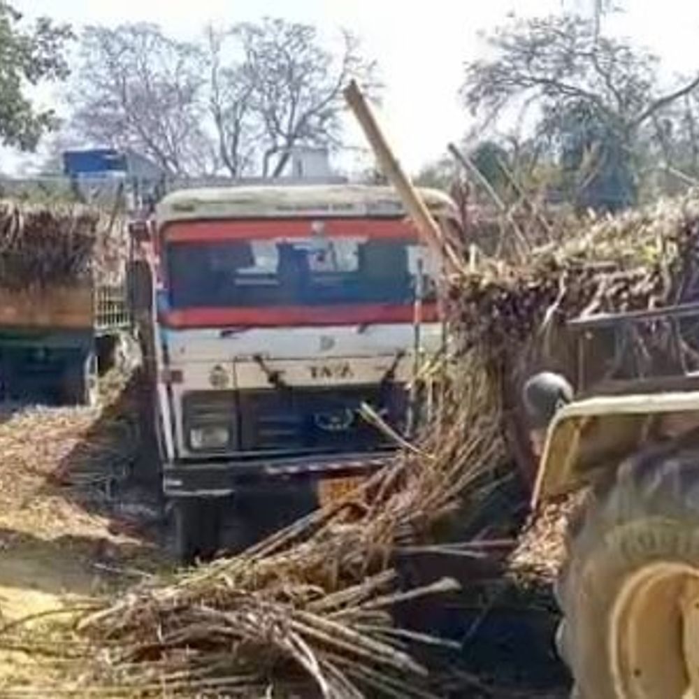 सुलतानपुर की किसान सहकारी चीनी मिल बंद, किसानों में गुस्सा:सपा नेता बोले- 250-300 करोड़ की जमीन असली वजह, तौल ठप-सूख रहा गन्ना