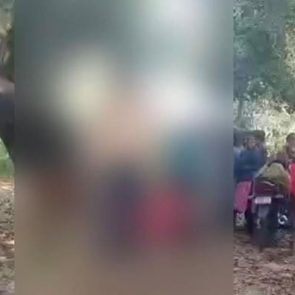 सीतापुर में इकलौते बेटे का पेड़ से लटका मिला शव:ग्रामीणों ने परिजनों को बुलाया, एक साल पहले हुई थी शादी