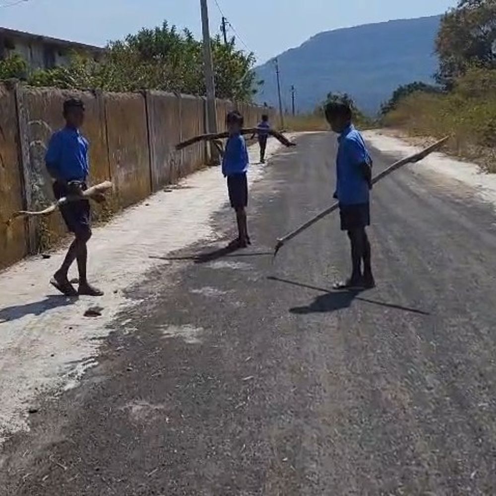 सरकारी स्कूल में बच्चों से कराई जा रही मजदूरी:  गौरेला-पेंड्रा-मरवाही में मध्याह्न भोजन के लिए जंगल से ढोई लकड़ियां, DEO बोले-जांच के बाद होगी कार्रवाई – Gaurela News