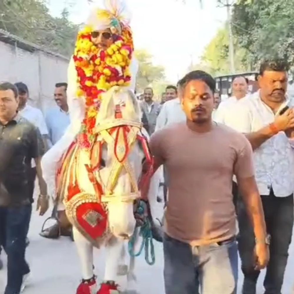 महोबा में सेवानिवृत्त लिपिक को घोड़ी पर बैठाकर विदाई, VIDEO:शिक्षा विभाग ने 35 साल की सेवा के बाद बोले- यह मेरे जीवन का सबसे अनमोल क्षण