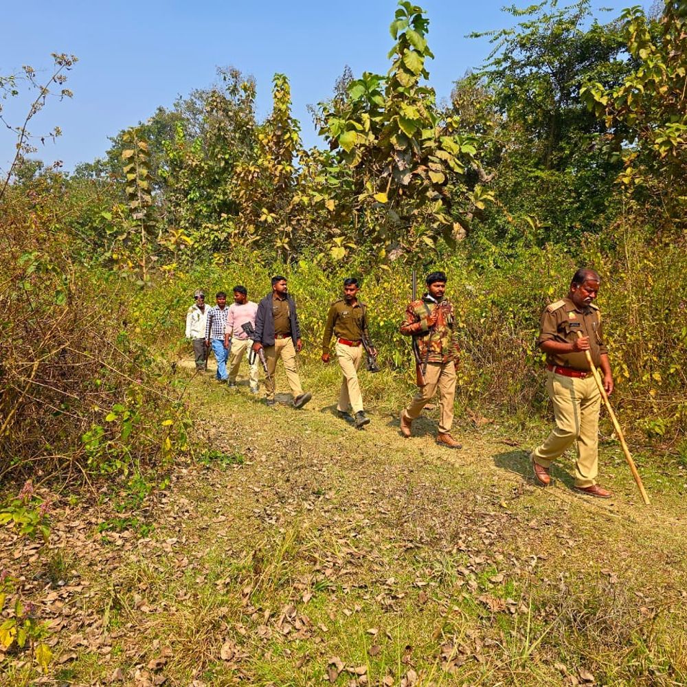 बलरामपुर में ग्रामीण सहमे, वन विभाग ने लगाए कैमरे:दो महीने में जंगली जानवर के हमले से दो महिलाओं की मौत