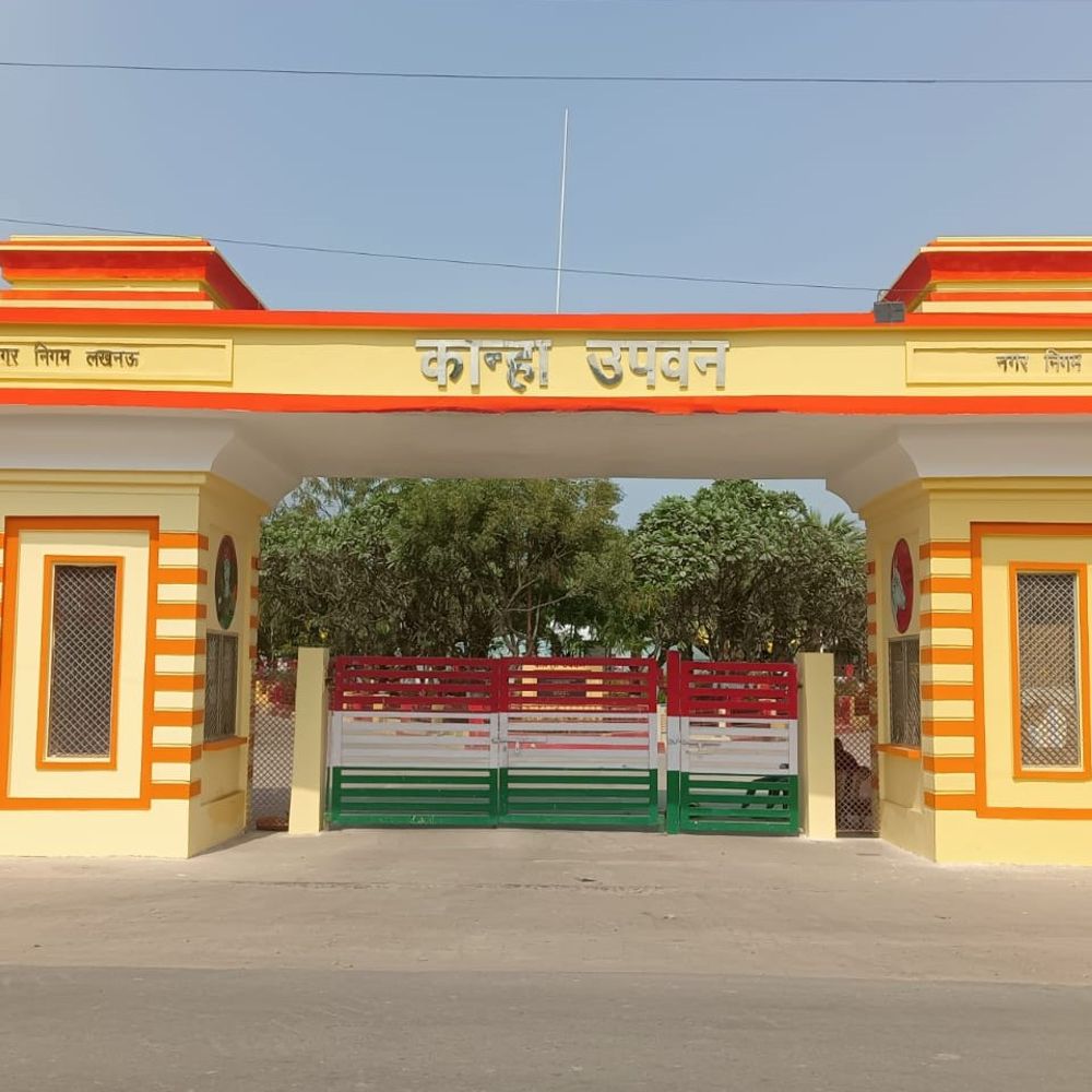 लखनऊ में होली पर नगर निगम बेच रहा लट्ठे:होलिका दहन के लिए देसी गाय के गोबर से तैयार,200 से अधिक की खरीद पर होम डिलीवरी