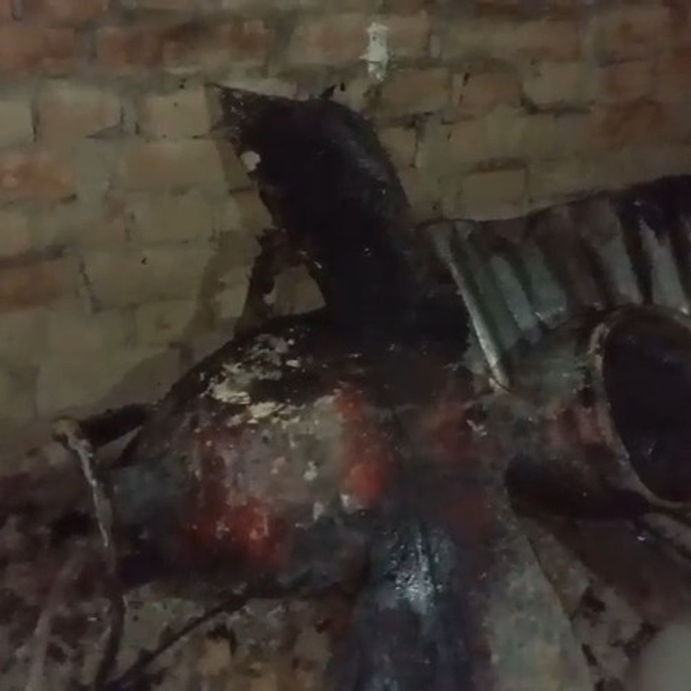 सीतापुर में सिलेंडर ब्लास्ट, महिला समेत 5 लोग झुलसे:खाना बनाते समय लगी आग, घर का सामानजलकर रखा