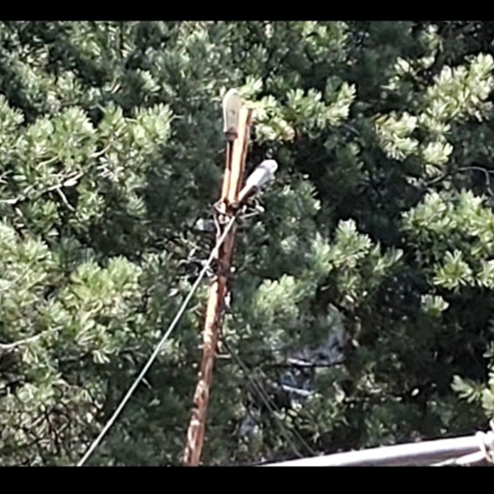 रिकांगपिओ की खराब स्ट्रीट लाइटें जल्द होंगी रोशन:  साडा करेगा मरम्मत, नई लाइट भी लगेंगी, डसीएसआर जुटाए जाएंगे अतिरिक्त फंड – Kinnaur News