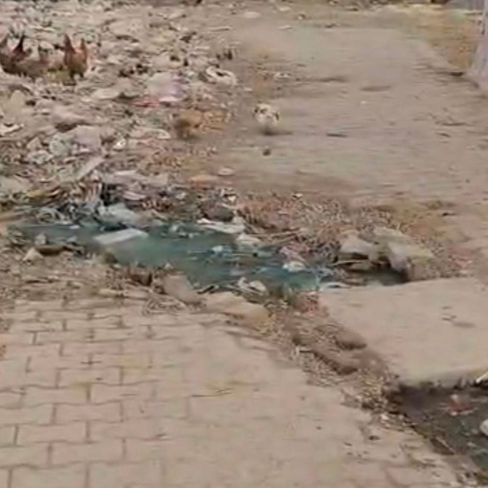 ऊंचाहार वार्ड 4 में गंदगी, नालियों का पानी सड़कों पर:अधूरे निर्माण से लोग परेशान, नगर पंचायत पर लापरवाही का आरोप