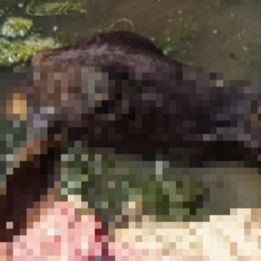 आजमगढ़ में नदी के किनारे मिले गोवंश के अवशेष:ग्रामीणों ने दी पुलिस को सूचना, तीन गांव के बीच मिले थे अवशेष