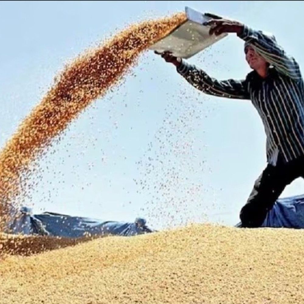 गेहूं खरीद के लिए 104 केंद्र आवंटित:जनपद में छह एजेंसियों को 2026-27 के लिए मिली जिम्मेदारी