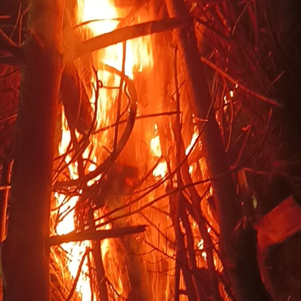 सिद्धार्थनगर में सामूहिक होलिका दहन:चंद्र ग्रहण के कारण एक दिन पहले मनाया गया पर्व