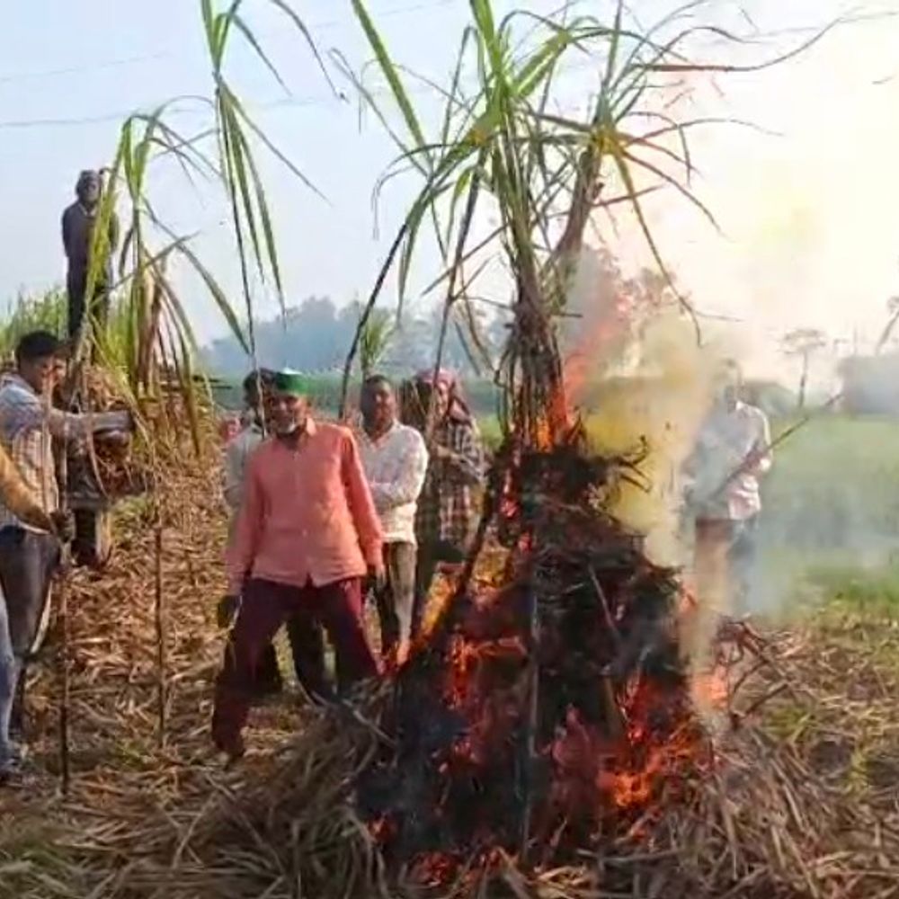 संभल में किसानों ने जलाई गन्ने की होली:600 रुपए प्रति क्विंटल भाव करने की मांग पर प्रदर्शन