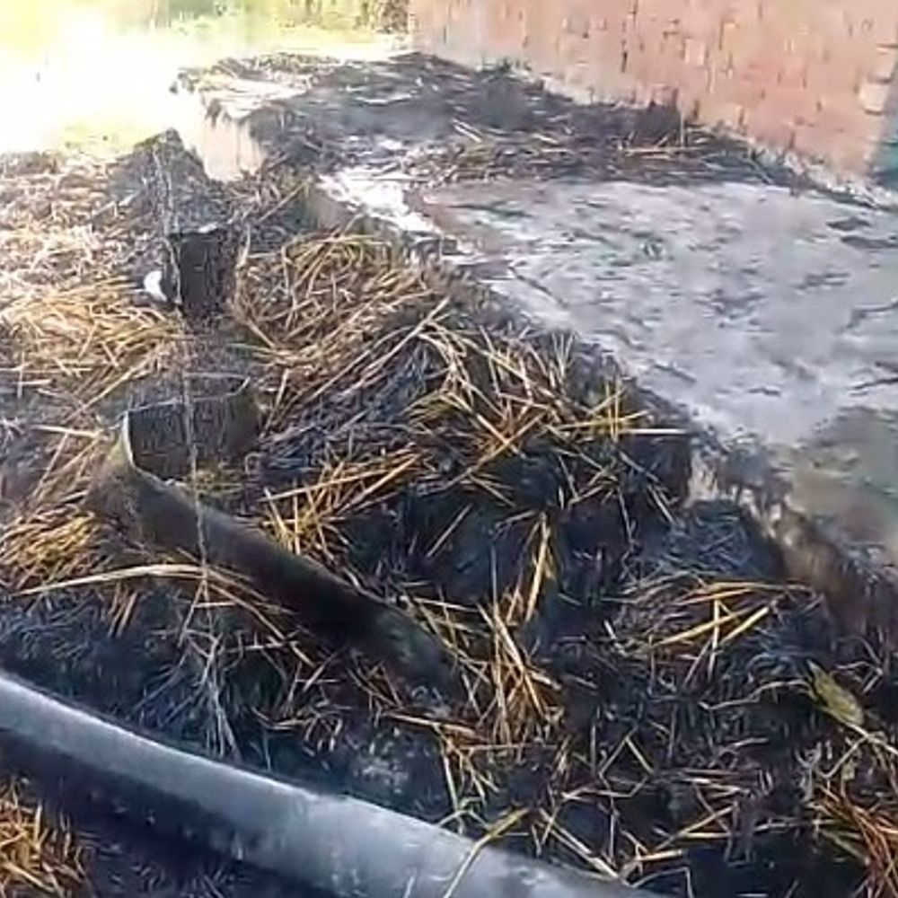 कौशांबी में नलकूप और आम के बाग में आग:शरारती तत्वों पर आरोप, लाखों का सामान जला, मामले की जांच शुरू