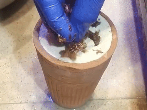 होली में कानपुर की ठंडाई का तड़का, VIDEO:गुलकंद, चंदन और ड्राईफ्रूट से बनी कोहिनूर महाकाल, 66 साल पुरानी है दुकान