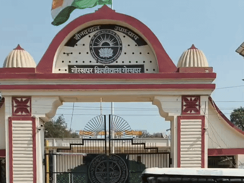 DDU में बन रहा हाईटेक नर्सरी:  आधुनिक तकनीकी से उगेंगे पौधे, पूर्वांचल के किसानों को भी फायदा – Gorakhpur News