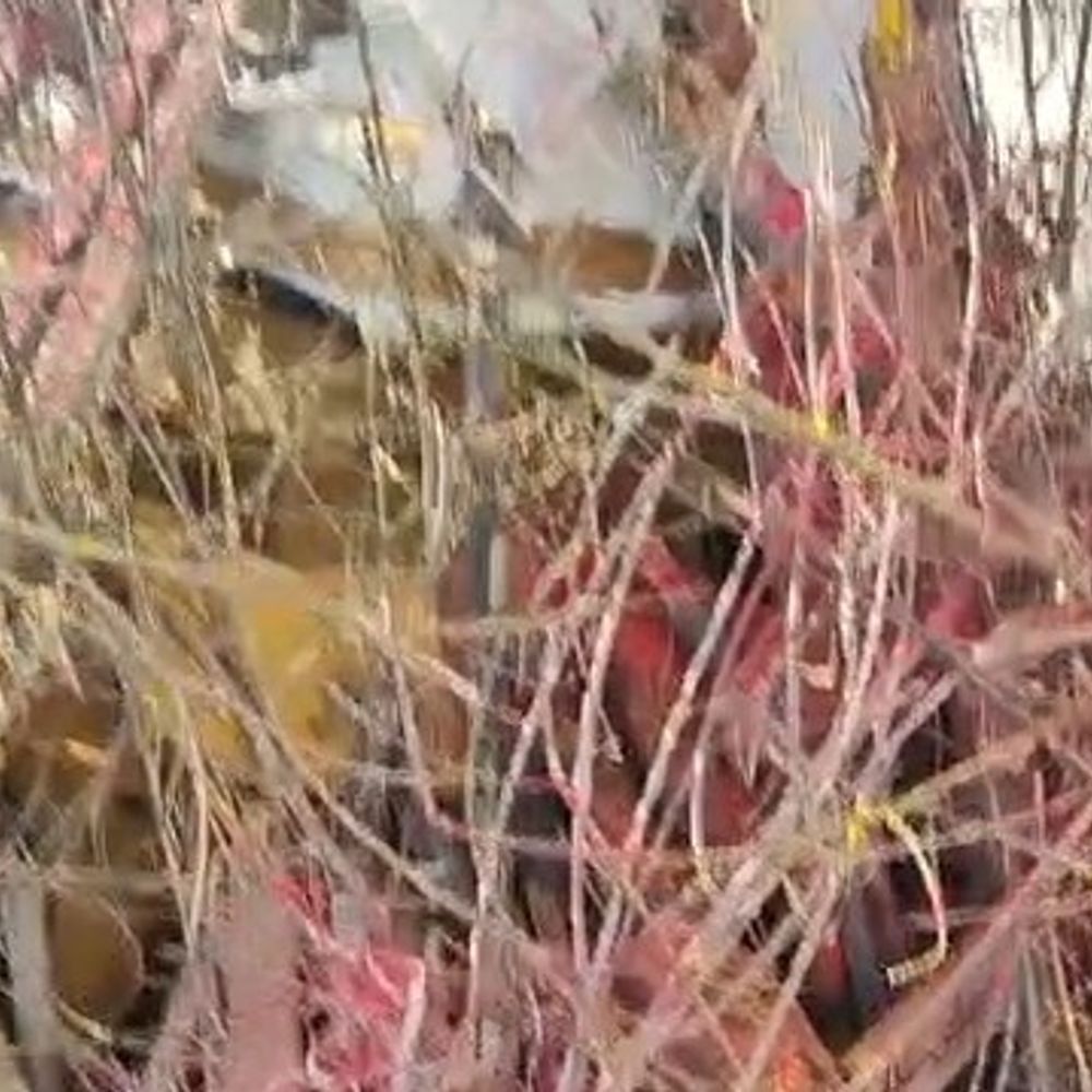 फर्रुखाबाद में 2228 स्थानों पर होलिका दहन:खुशियों के रंग बिखरे, सुरक्षा के पुख्ता इंतजाम