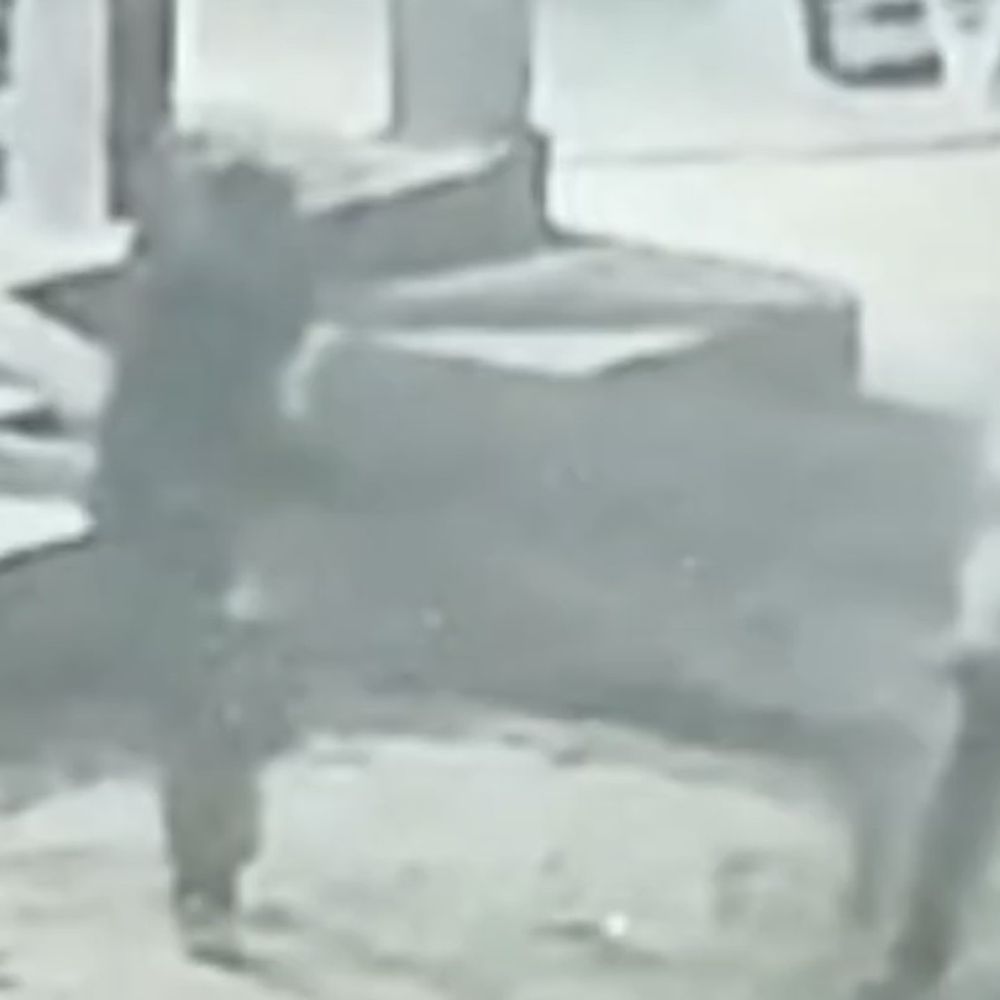 देवरिया में 10 घरों से चौकी-कुर्सी चोरी, VIDEO:चोर सीसीटीवी में कैद, पुलिस ने फुटेज कब्जे में ली