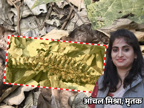 यूपी में 25 साल की महिला नेता का कंकाल मिला:खोपड़ी, जबड़ा-रीढ़ की हड्‌डी अलग-अलग, 14 दिन से लापता थीं आंचल मिश्रा