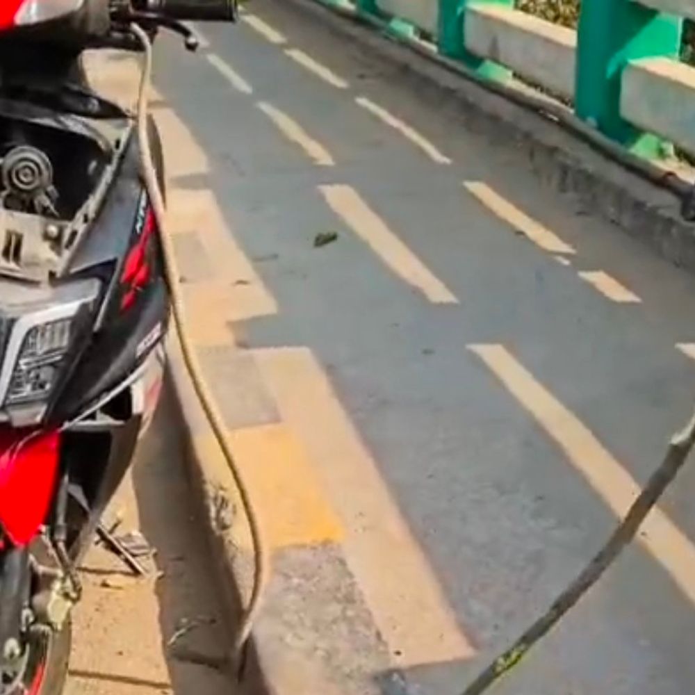 स्कूटी से निकला कोबरा सांप, VIDEO:मऊ के भीटी ओवरब्रिज पर रोकी गाड़ी, डंडे से चालक ने बाहर निकाला